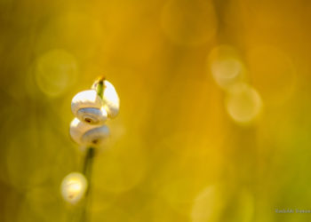 Natuur en landschap