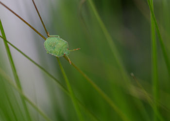 Natuur en landschap