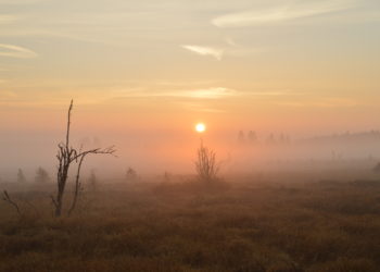 Natuur en landschap