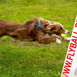 DSC_0193-Verbeterd-NR-bewerkt