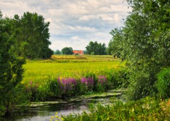 Workshop natuur en urbex