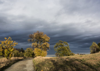 Natuur en Landschap